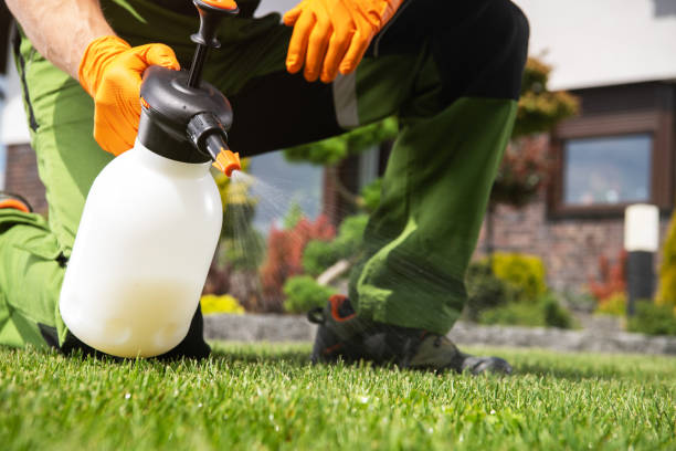 Best Residential Pest Control  in Tolono, IL