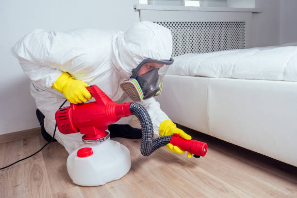 Best Affordable Pest Control Services  in Tolono, IL