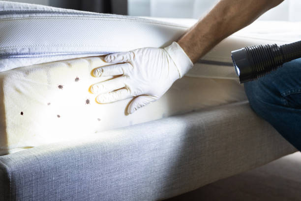 Best Pest Prevention Services  in Tolono, IL