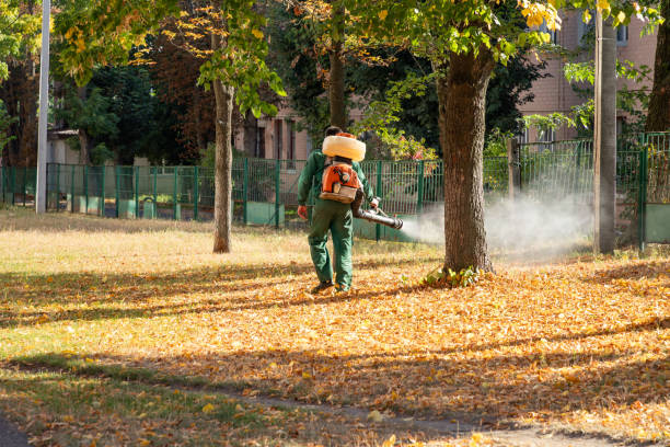 Best Best Pest Control Companies  in Tolono, IL
