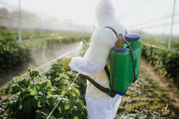 Best Flea Control Services  in Tolono, IL